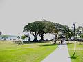 A 205 Baie de Sydney - Watsons Bay